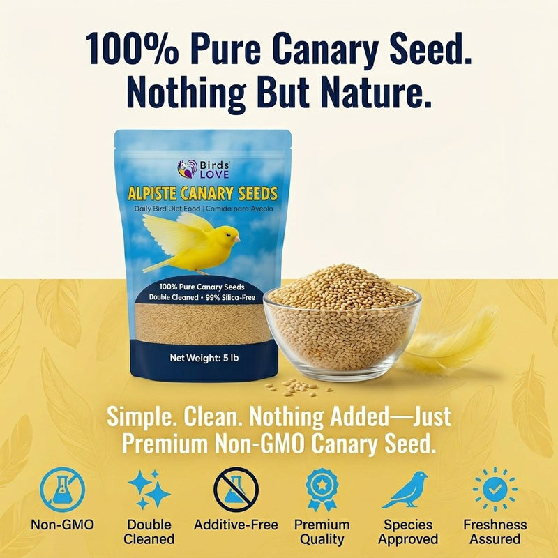Birds LOVE Alpiste Canary Seed – 100% Pure, Non-GMO, Double Cleaned Food for Canaries, Finches, Budgies & Parakeets – No Additives, Bird Feed, 5 lbs