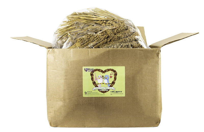 Birds LOVE French Kissed Spray Millet for Birds - Parakeets, Cockatiels, Lovebirds, Finches, Budgies, Canaries, Cockatoos - Natural & Healthy Bird Millet - Parakeet Food & Treats for all Parrots 25lbs