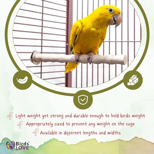 Birds LOVE Bottlebrush Thai Wood Bird Perches for Parakeets, Finches, Cockatiels, Conures, Budgies - Multibranch Parrot Perch Stand & Bird Cage Accessories - Pack of 2 Small Perches…