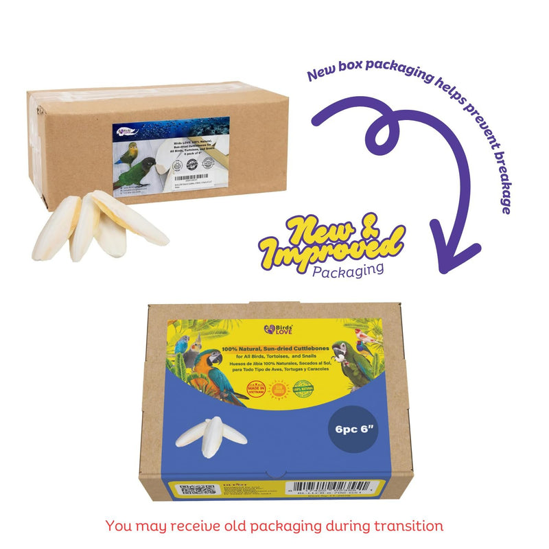 Birds LOVE Natural Cuttlebone | 100% Pure Sun-Dried Calcium Supplement for Birds, Tortoises, Snails & Crabs | Supports Beak & Shell Health | Easy to Chew | 6 Pack, Size 5.5 to 6"