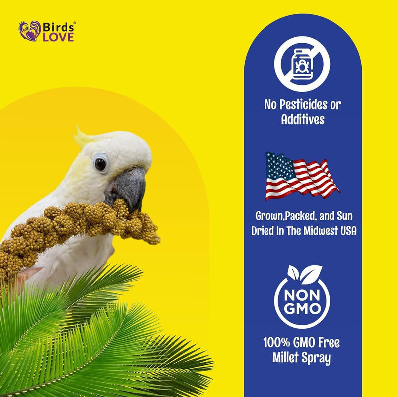 Birds LOVE Economy & Special Spray Millet GMO-Free (No Stems Only Edible Tops) for Birds Cockatiel Lovebird Parakeet Finch Canary All Parrots Healthy Treat - 7oz (Pack of 50)