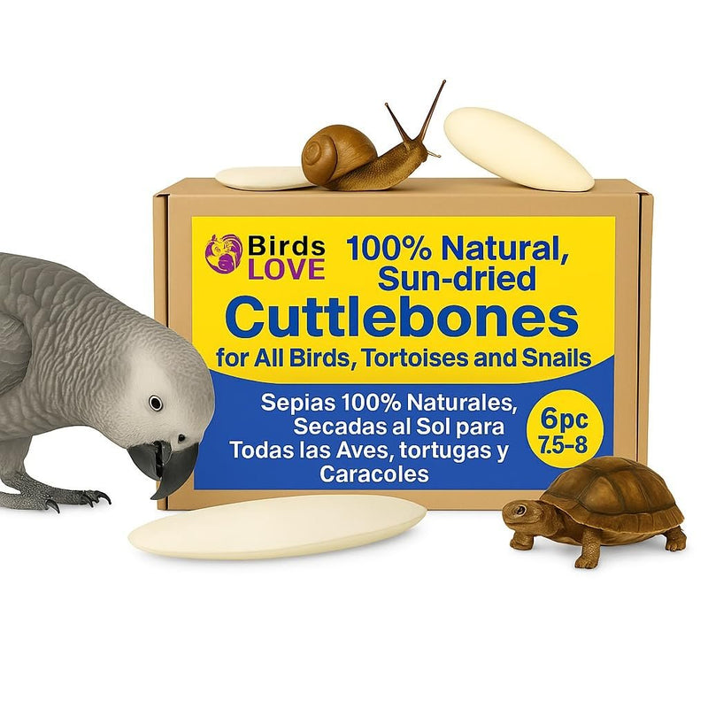 Birds LOVE Natural Cuttlebone – Premium Calcium & Trace Mineral Supplement for Tortoises, Snails, Parakeets, Cockatiels, and All Birds - 6 Pack of 7.5 to 8"