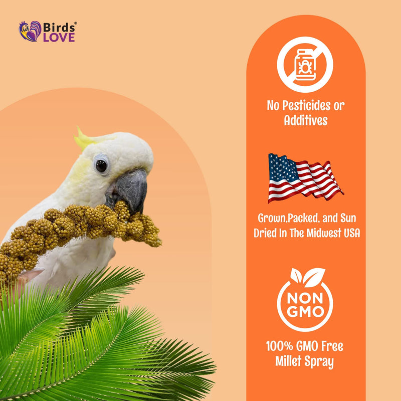Birds LOVE Wholesome & Lovely Spray Millet Non-GMO for Birds Cockatiel Lovebird Parakeet Finch Canary All Parrots Healthy Treat - 2lbs