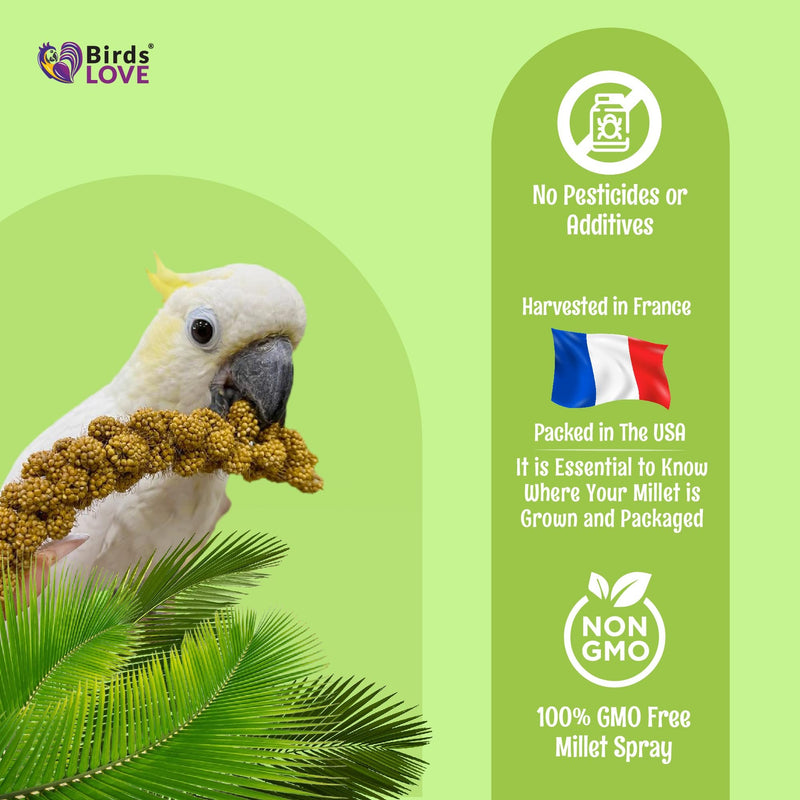 Birds LOVE French Kissed Spray Millet for Birds - Parakeets, Cockatiels, Lovebirds, Finches, Budgies, Canaries, Cockatoos - Natural & Healthy Bird Millet - Parakeet Food & Treats for all Parrots 25lbs