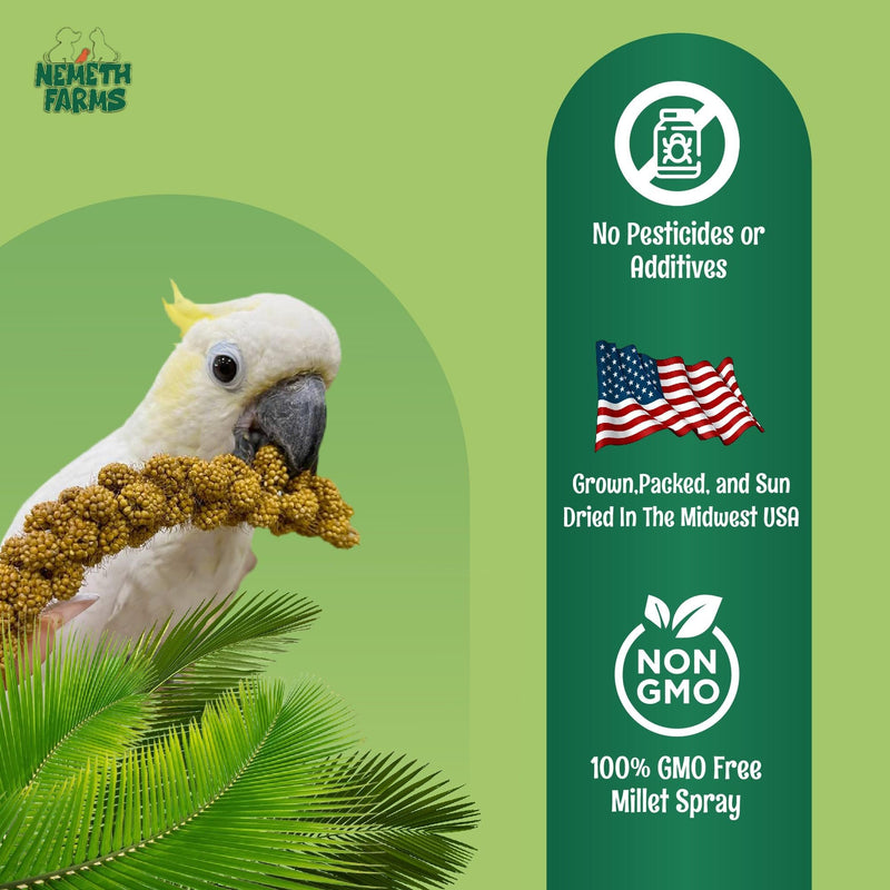 Nemeth Farms Premium Non-GMO Spray Millet Treat | Hand-Harvested Bird Snack | 100% Edible Tops | Sun-Dried Supplement for Parakeets, Cockatiels, Finches, Lovebirds, Canaries