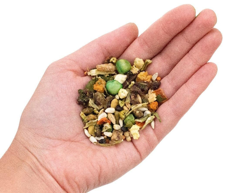 Birds LOVE Natural Garden Blend Bird Food for Small Birds, 4 lb Hand Packed in USA, All Natural Mix with Fruits, Nuts, Vegetables, Seeds & Grains for Lovebirds, Cockatiels, Budgies, Parakeets & Parrotlets