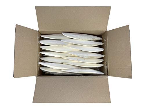 Birds LOVE 7.5" - 8" Bulk Natural Cuttlebone for Cockatiels Parakeets Budgies Finches Canaries Lovebirds Small Conures Mynahs Toucans African Greys All Parrots, Full Case 16lbs