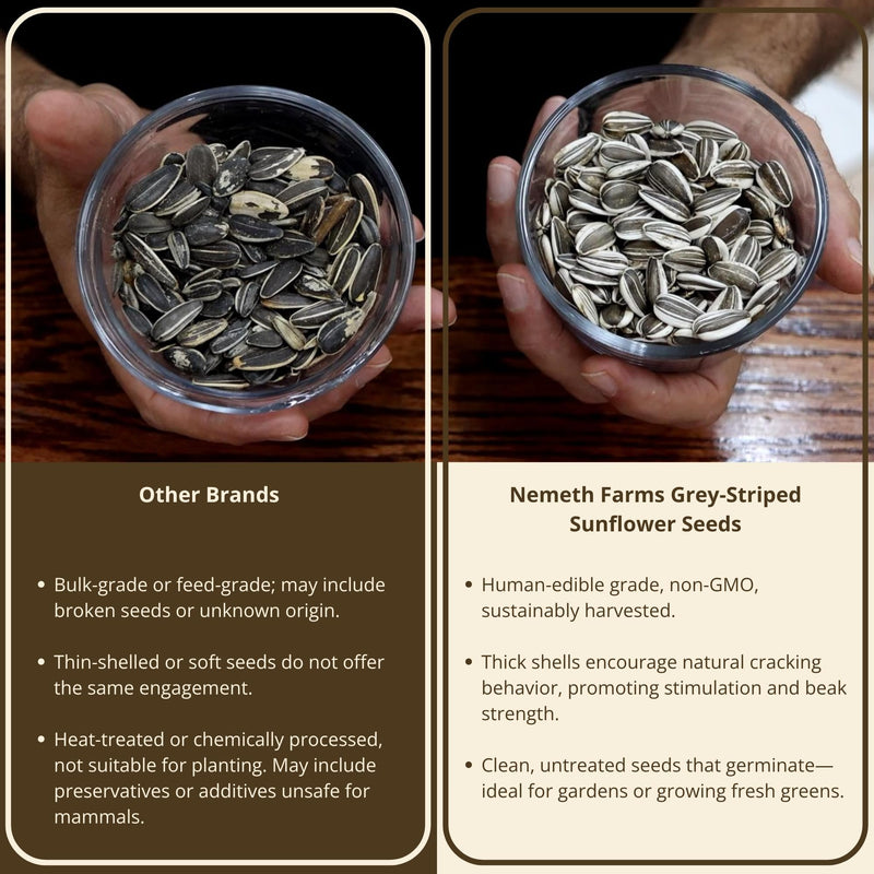Nemeth Farms - 5 Lb Bag | Premium Gray Striped Sunflower Seeds for Birds - Natural Sunflower Seeds Bird Food | Non-GMO, Feeder-Ready & Plantable