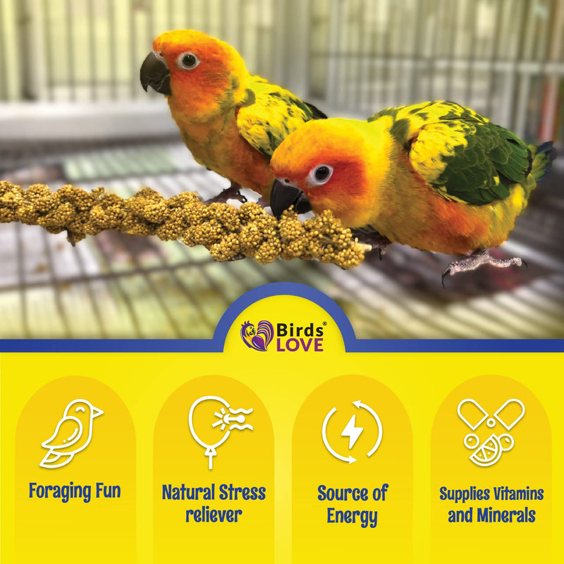 Birds LOVE Economy Special Spray Millet GMO-Free (No Stems Only Edible Tops) for Birds Cockatiel Lovebird Parakeet Finch Canary All Parrots Healthy Treat - 2lbs