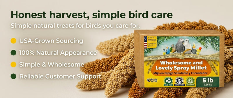 Birds LOVE 25 LB Wholesome Spray Millet for Birds USA Grown, Natural Sun Dried
Millet Sprays Thick Clusters for Parakeets, Budgies, Cockatiels, Conures, Finches &
Parrots