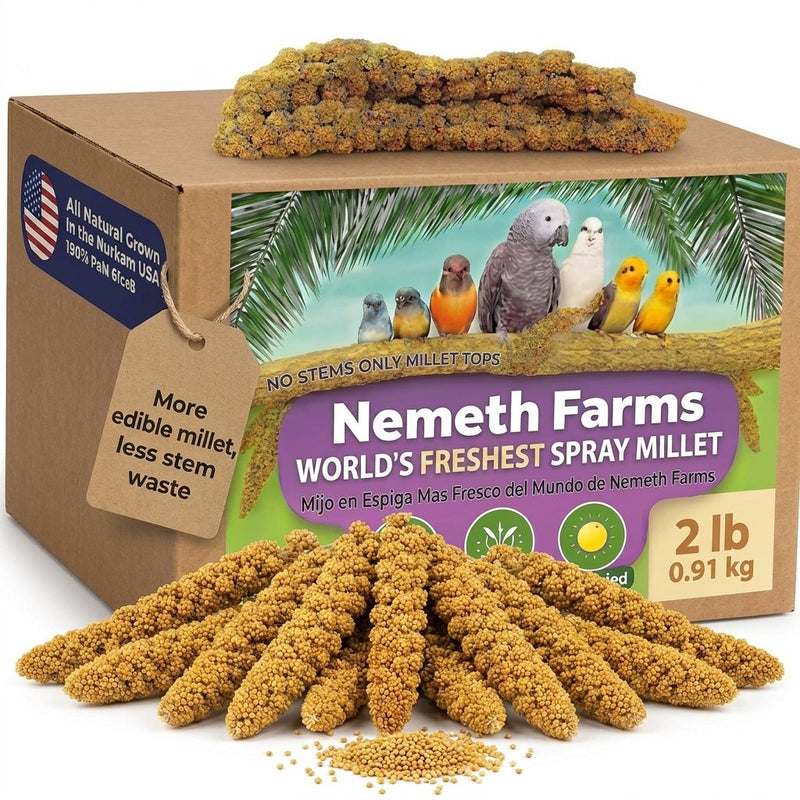 USA Grown Spray Millet for Birds–Midwest Harvest, 2 lb Premium Natural Non-GMO Whole Millet Sprays for Parakeets, Cockatiels, Budgies, Conures, Lovebirds, Finches & Parrots