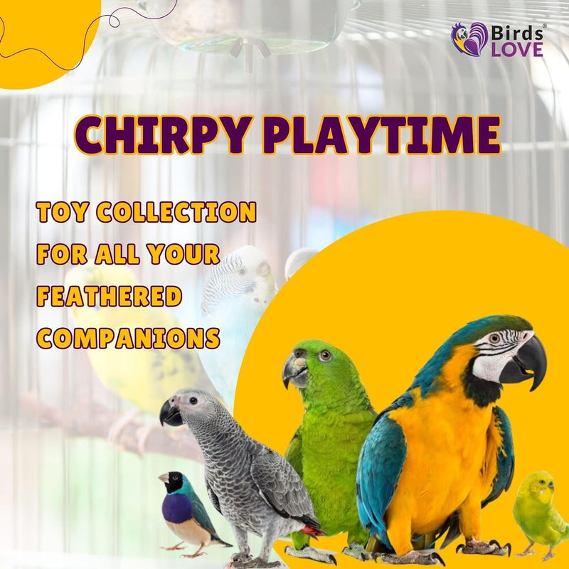 Birds LOVE Wood Stars & Leather Toy for Bird Cage Stand or Playgym, Bird Toys for Small to Medium Parrots, Sun Conures, Green Cheeked Conures, Quakers, Parakeets, Caiques, Cockatiels, African Senegals