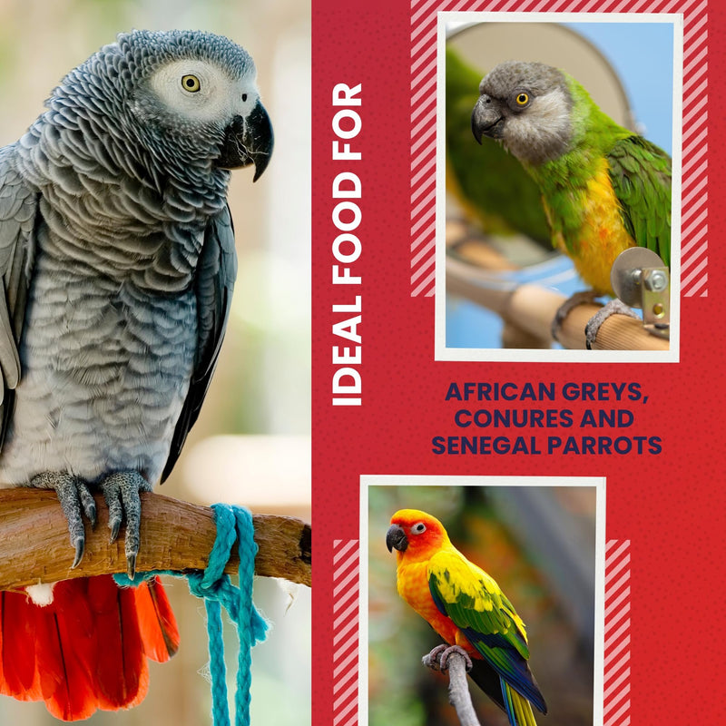 ABBA 1400 Premium Bird Food for African Grey, Conure, and Senegal Parrot, Bird Seed Blend with Whole Eggs, Fruits and Nuts - Packed with Protein, Vitamins & Minerals, 5 lbs