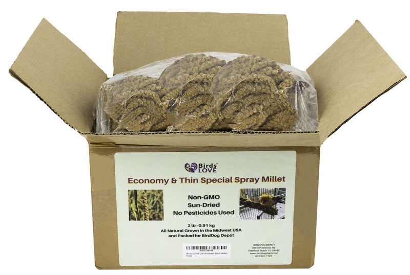Birds LOVE Economy Special Spray Millet GMO-Free (No Stems Only Edible Tops) for Birds Cockatiel Lovebird Parakeet Finch Canary All Parrots Healthy Treat - 2lbs