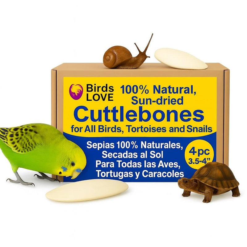 Birds LOVE 4-Piece Natural Cuttlebone 3.5–4-Inch with Holder – Natural Calcium & Trace Mineral Block for Birds & Reptiles – Beak-Trimming Chew Supplement – Safe, 100% Pure, No Fillers