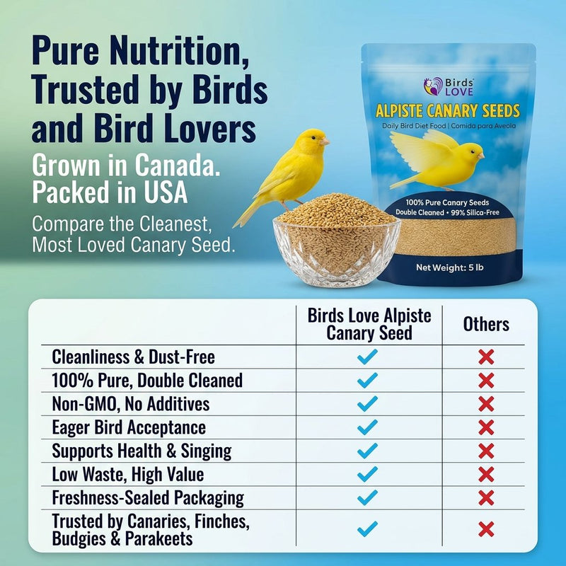 Birds LOVE Alpiste Canary Seed – 100% Pure, Non-GMO, Double Cleaned Food for Canaries, Finches, Budgies & Parakeets – No Additives, Bird Feed, 5 lbs
