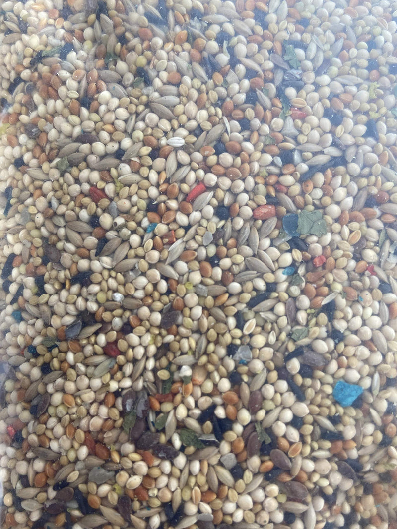 Volkman AS Super Finch Bird Food 8lbs