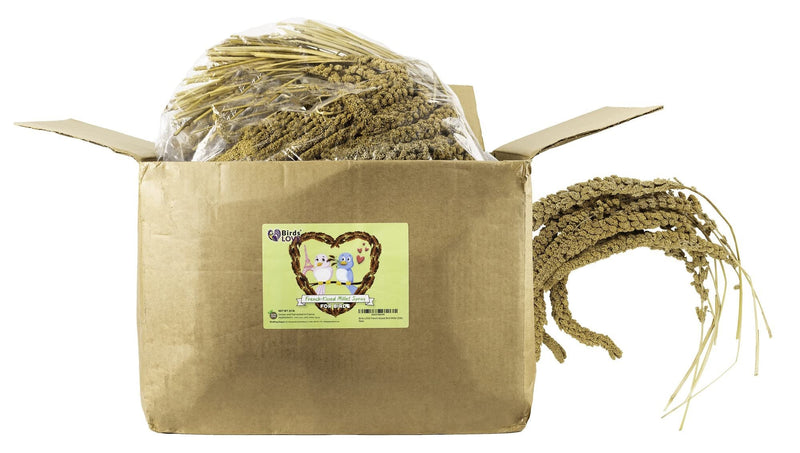Birds LOVE French Kissed Spray Millet for Birds - Parakeets, Cockatiels, Lovebirds, Finches, Budgies, Canaries, Cockatoos - Natural & Healthy Bird Millet - Parakeet Food & Treats for all Parrots 25lbs
