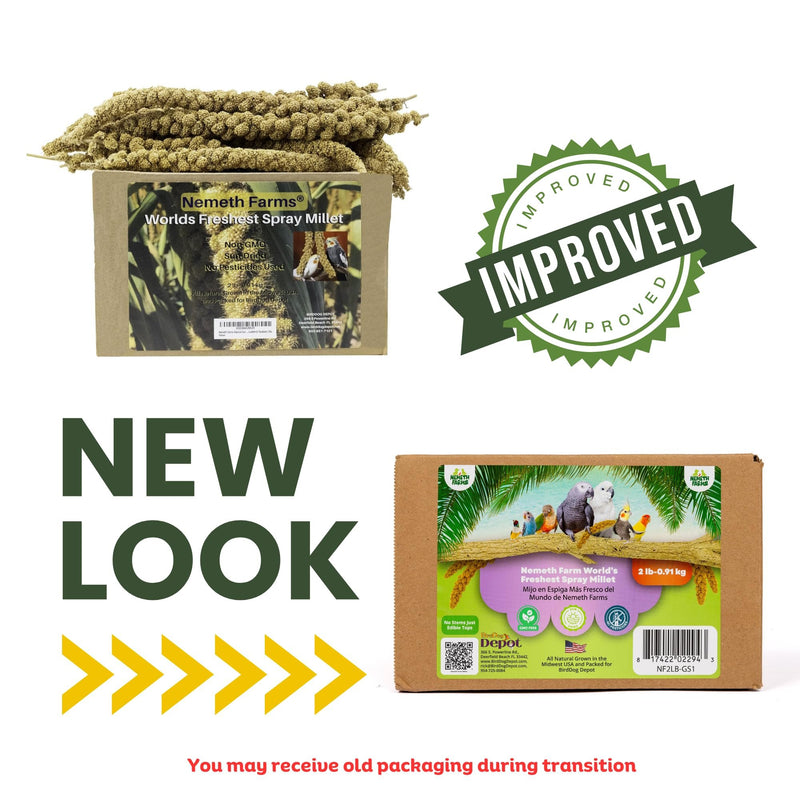 Nemeth Farms–Natural Sun Dried Millet Spray for Pet Birds–Bulk Parrot Seed Treats and Parrot Food–Natural Non GMO Millet Spray–Cockatiels Lovebirds Parakeet 2 lbs.