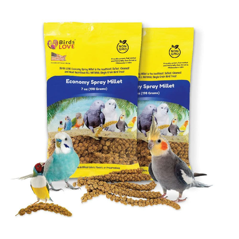 Birds LOVE Economy Special Spray Millet | GMO-Free (No Stems Only Edible Tops) for Birds Cockatiel, Lovebird, Parakeet, Finch, Canary All Parrots Healthy Treat 7 oz -Pack of 2