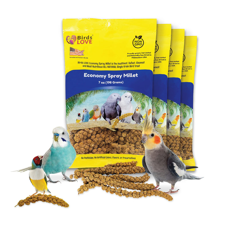 Birds LOVE Economy Special Spray Millet - GMO-Free (No Stems Only Edible Tops) for Birds Cockatiel, Lovebird, Parakeet, Finch, Canary All Parrots Healthy Treat 7oz - Pack of 4