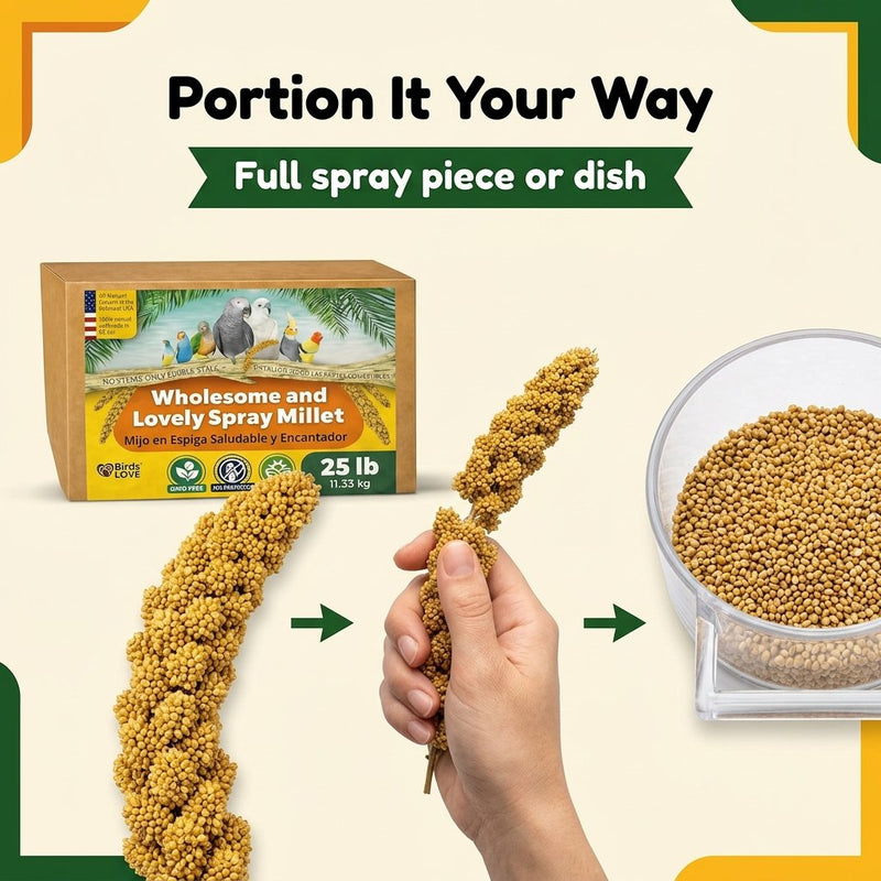 Birds LOVE 25 LB Wholesome Spray Millet for Birds USA Grown, Natural Sun Dried
Millet Sprays Thick Clusters for Parakeets, Budgies, Cockatiels, Conures, Finches &
Parrots