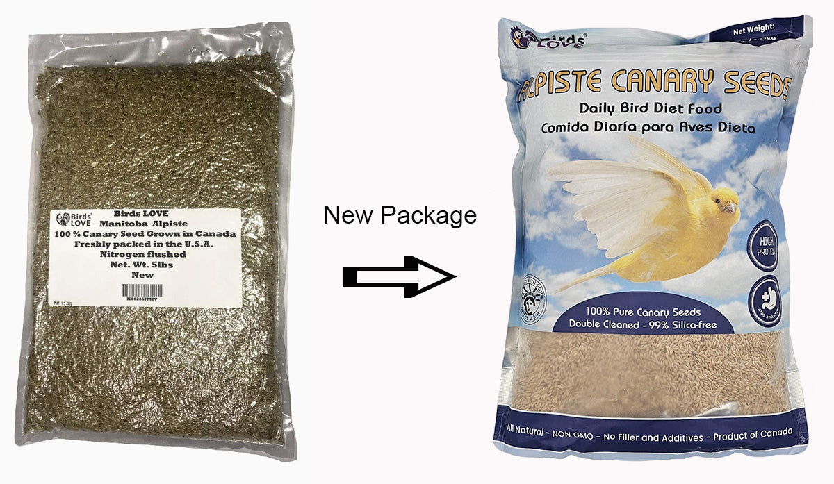 Birds LOVE Manitoba Alpiste 100% Natural and Cleaned Canary Seeds 5 lbs