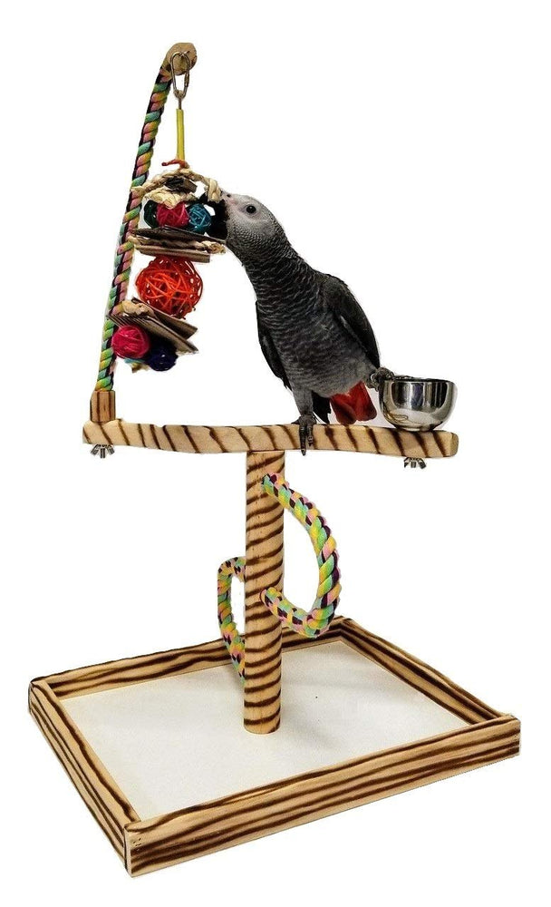Birds LOVE Bird Play Gym Tabletop w Cup, Toy Hanger and Toy, Javan TigerTail Stand- Large