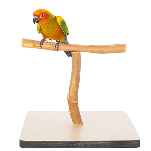 You & Me Multi-color Zigzag Rope Bird Perch, Large