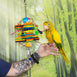 Birds LOVE Medium Bird Toy Colorful Pine Slats, Paper Rope, Stainless Steel Spoons, Acrylic Rings, Leather Strips, Sisal African Grey Cockatoo Amazon Macaw Bird Cage