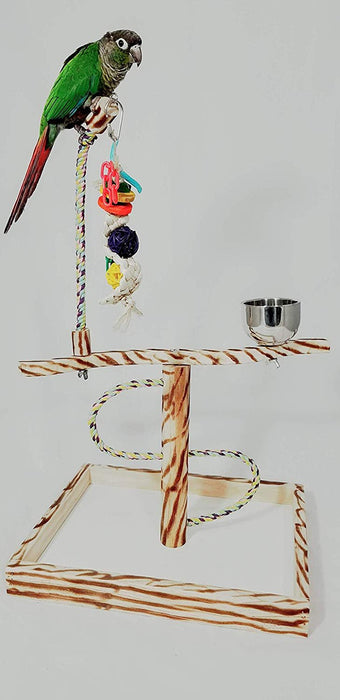 Birds LOVE Bird Play Gym Tabletop w Cup, Toy Hanger and Toy, Javan TigerTail Stand - Small