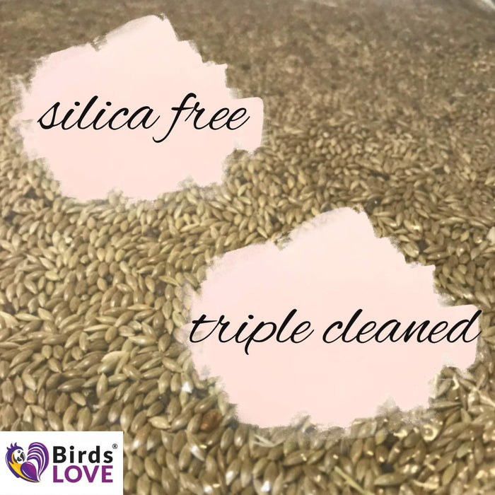 Birds LOVE Manitoba Alpiste 100% Natural and Cleaned Canary Seeds 5 lbs