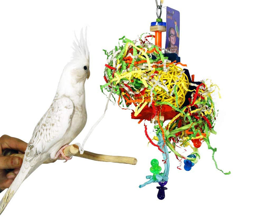 Birds LOVE Foraging Nova Star, Colors Vary 2-Pack, All Small Parrots Cockatiels Lovebirds Canaries Finch Parakeets