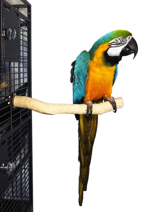 Birds LOVE Handcrafted Coffeewood Multi-Branch Perch for all Medium Sized Birds – Pkg of 1 Medium Multi-Branch