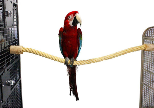 Birds LOVE All Natural Handcrafted Sisal Perch with Coffeewood End Caps for Large Parrots Cockatoo Macaws Amazons – Size LG 37" Len x 1.25" Diam
