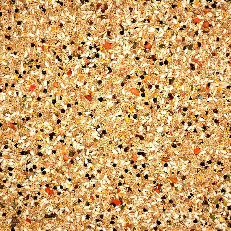 Volkman Avian Science Super Cockatiel No Sunflower Bird Food Daily Diet for Lovebirds Green Cheeked Conures Sun Conures, One 8lb Bag