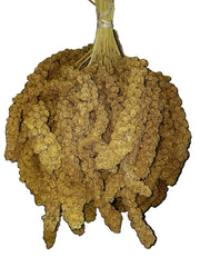 Birds LOVE Spray Millet for Birds - 25lbs