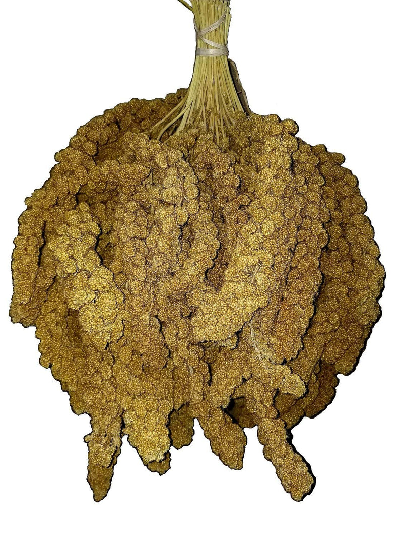 Birds LOVE Spray Millet for Birds - 25lbs