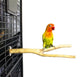 Birds LOVE set of 2 Handcrafted Small Multi-Branch Coffeewood Perches for Conures, Caiques, Ringnecks, Senegals, Quakers and all Similar Sized Birds