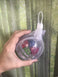 Birds LOVE 3" Hanging Clear Wiffle Balls Unscrew Foraging Medium and Large Bird Toy with Vine Balls Inside for Bird Cage