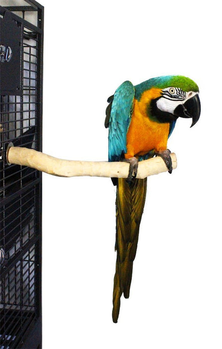 Birds LOVE Handcrafted Coffeewood Single Perch for Medium Sized Birds – Pkg of 1 Medium Single Branch