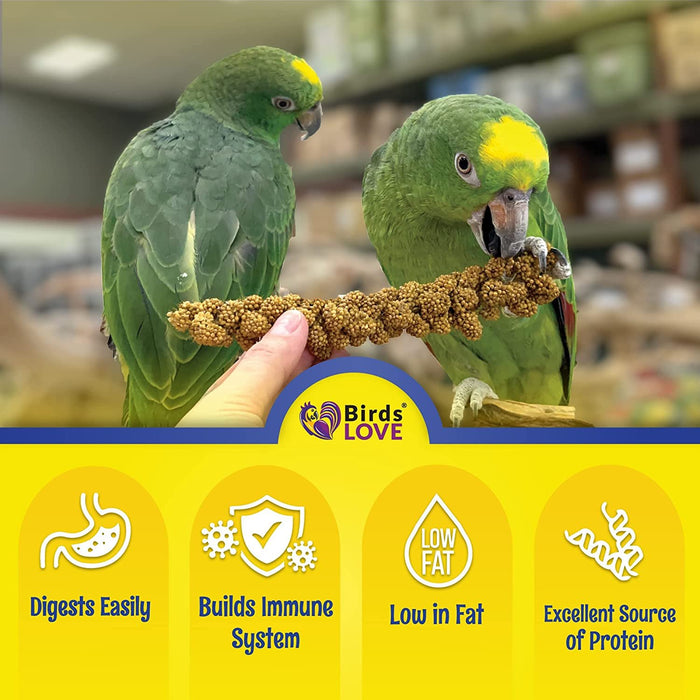 Birds LOVE Economy & Thin Special Spray Millet GMO-Free No Pesticides (No Stems Only Edible Tops) for Birds Cockatiel Lovebird Parakeet Finch Canary All Parrots Healthy Treat - 7oz (4pk)