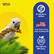 Birds LOVE Economy & Thin Special Spray Millet GMO-Free No Pesticides (No Stems Only Edible Tops) for Birds Cockatiel Lovebird Parakeet Finch Canary All Parrots Healthy Treat - 7oz