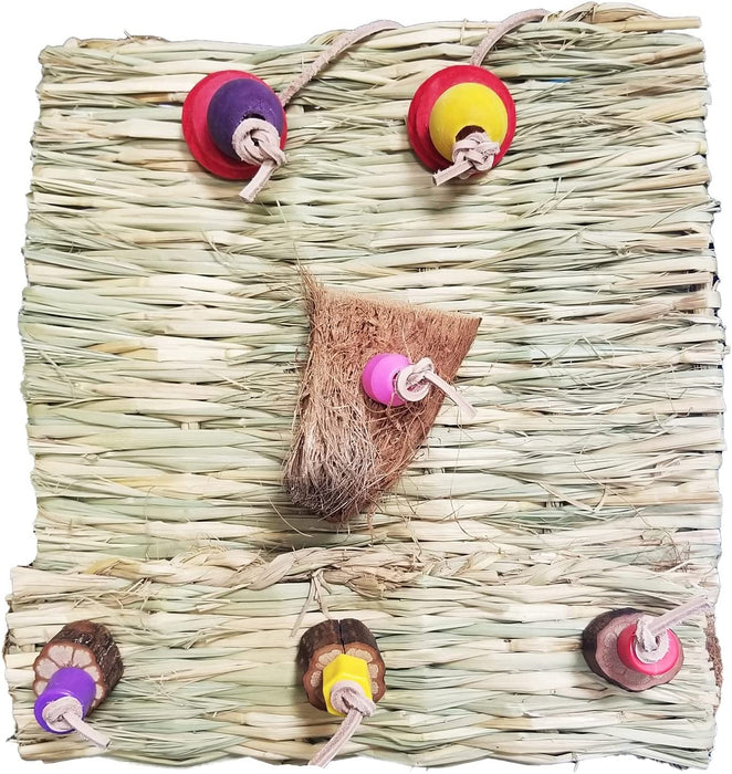 Birds LOVE Small or Medium Climbing and Swinging Toy with Natural Materials, Coconut Fibers, Vineballs and Wood, Parakeets, Conures, African Greys
