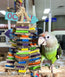 Birds LOVE Chew-Tastic Tower of Shredded Fun