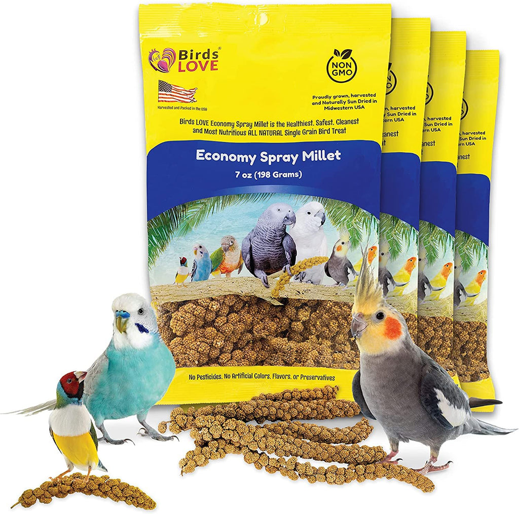 Millet spray for cockatiels best sale