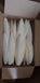 Birds LOVE Cuttlebone for Cockatiels Parakeets Budgies Finches Canaries Lovebirds Small Conures Mynahs Toucans African Greys All Parrots