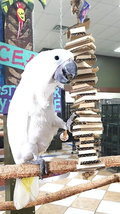 Birds LOVE Chew-Tastic Tower of Shredded Fun