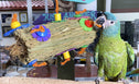 Birds LOVE Coconut Fiber Burrito Parrot Toy, Foraging and Preening Fun for Medium Birds