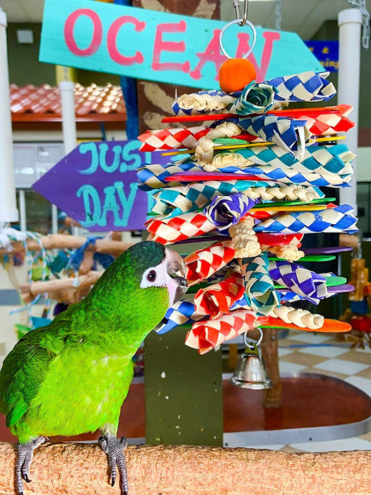 Birds LOVE Natural Bamboo Finger Traps & Popsicle Sticks Parrot Toy, Foraging and Chewing Materials for All Birds